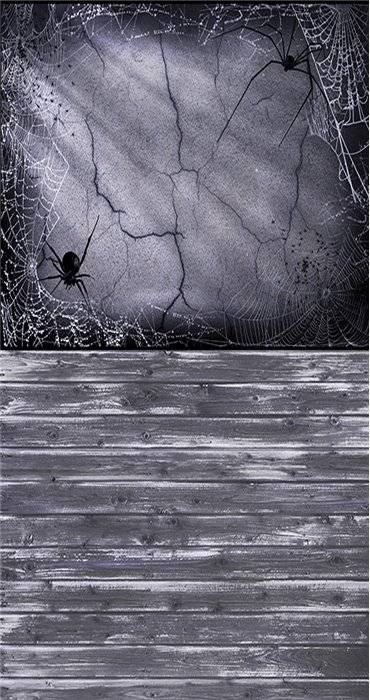 spider