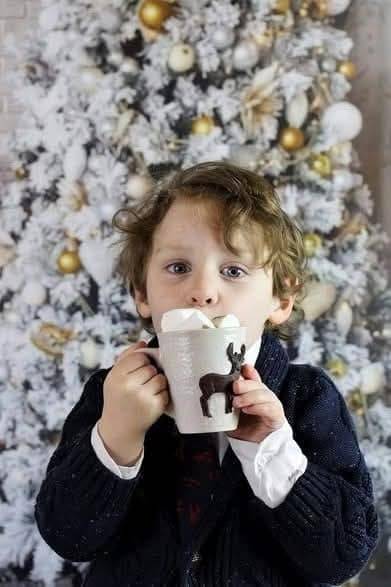 fausse gourmandise sapin