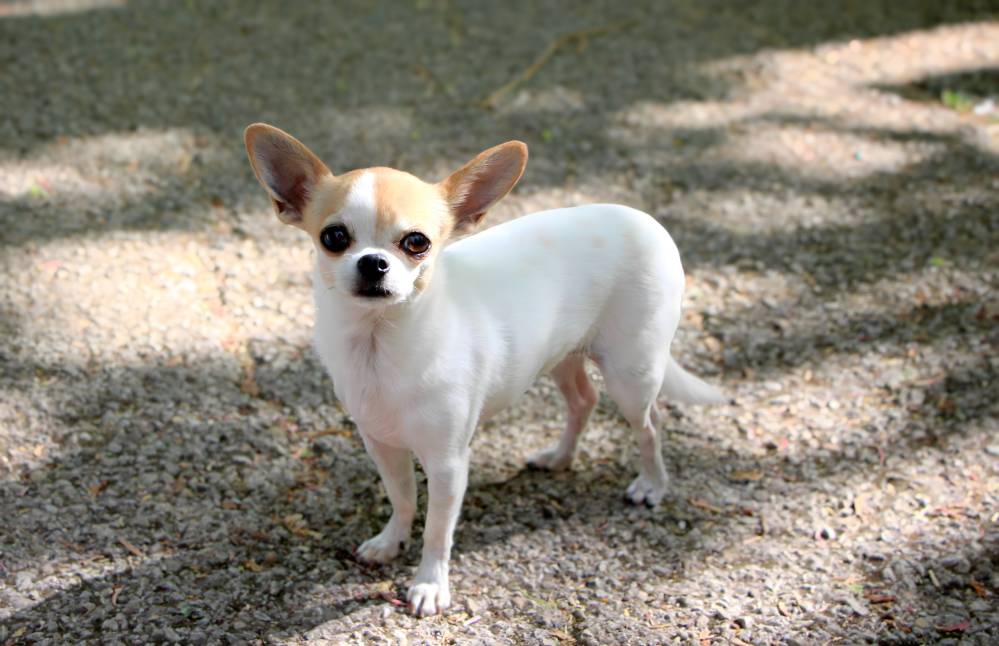 DANA_1248.sabrina maignot-mai2025