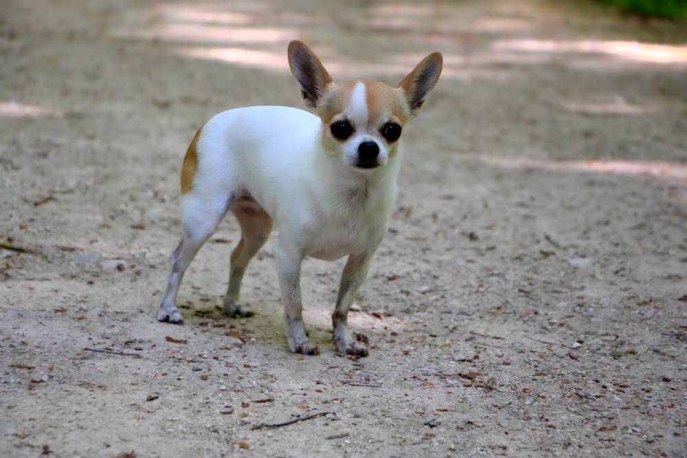 DANA_1267.sabrina maignot-mai2025