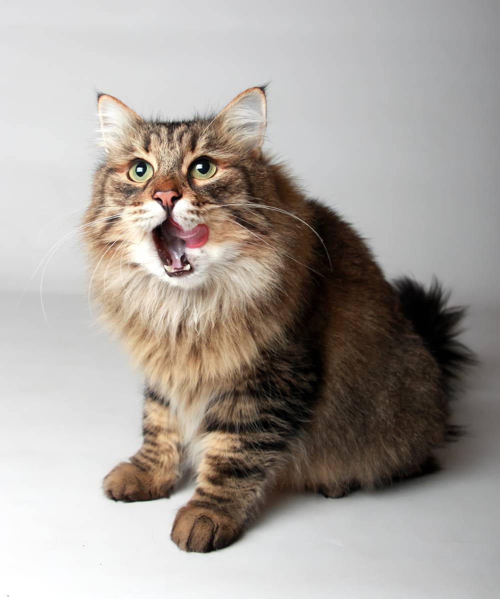 STUART_4635.sabrina maignot-novembre2025