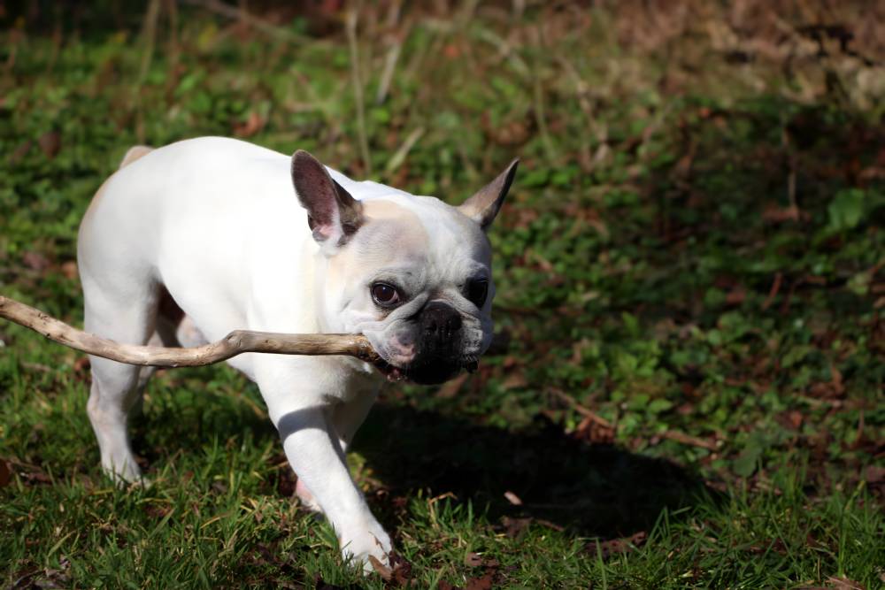 GAR_0931.remini-enhanced